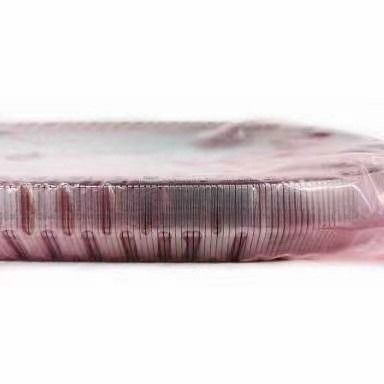 2KG JF017E RE0F10D Ремень ремня для TEANA X Trail QASHQAI 901074 901089 901096